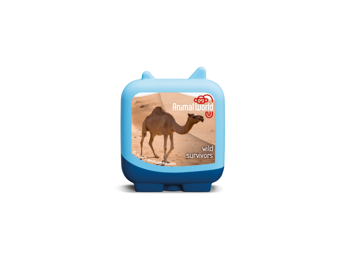 Dromedary Camel Animal World Wild Survivors Clever Tonie