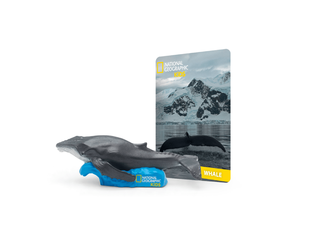 National Geographic Kids: Whale Tonie with branded image
