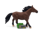 National Geographic Kids: Horse Tonie