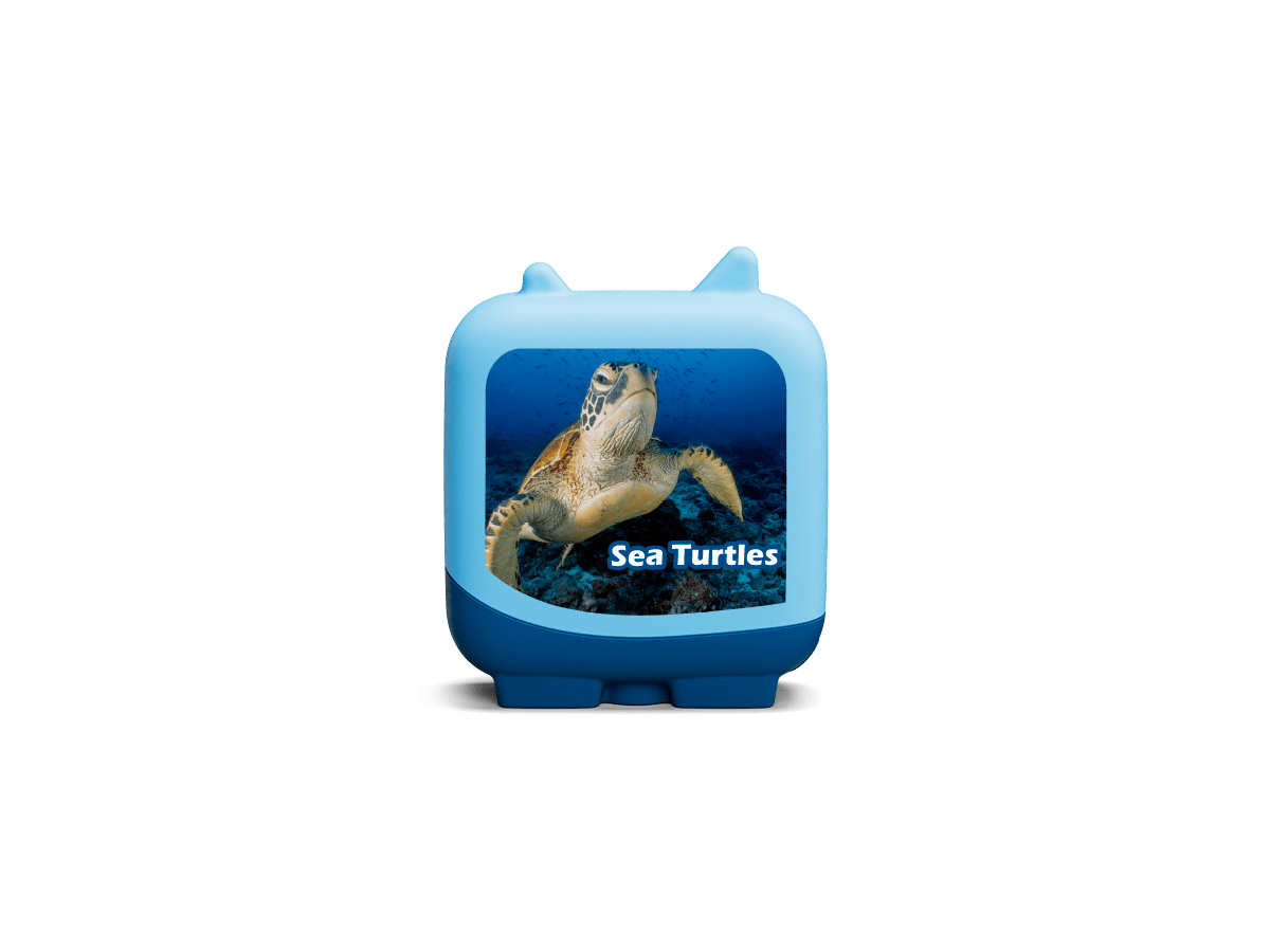 Sea Turtles Marine Life Clever Tonie