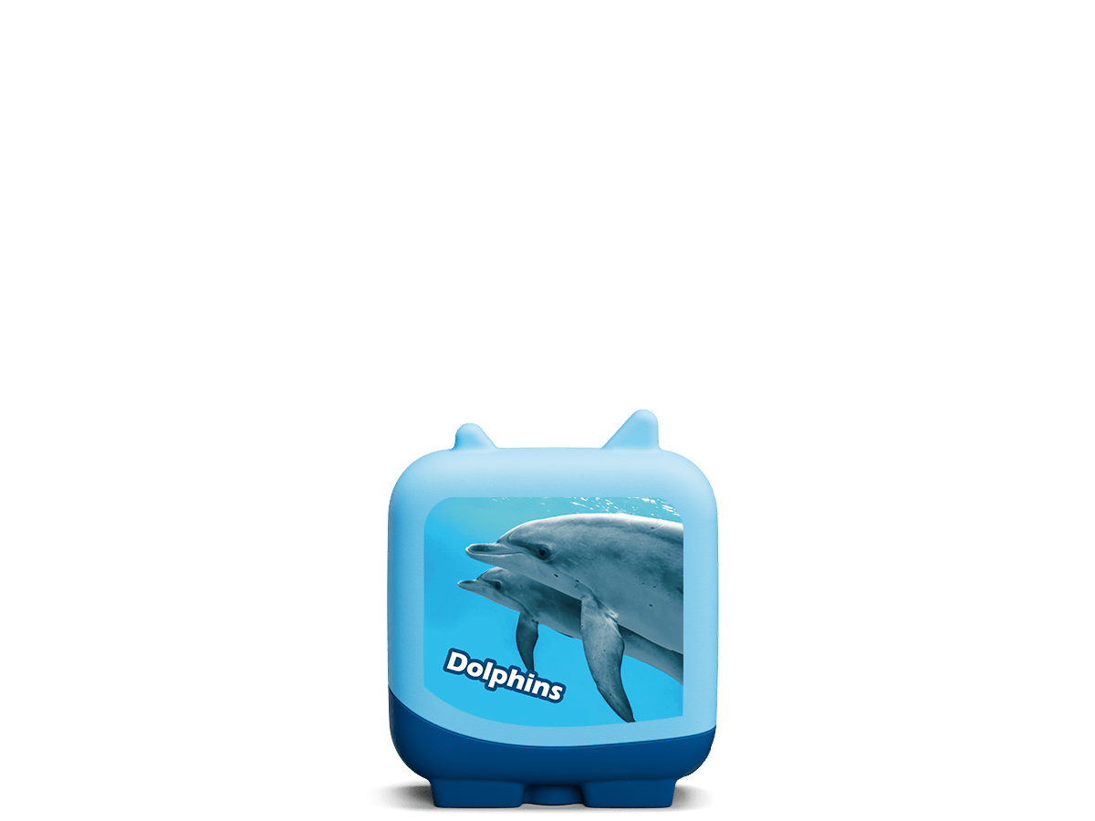 Dolphins Marine Life Clever Tonie