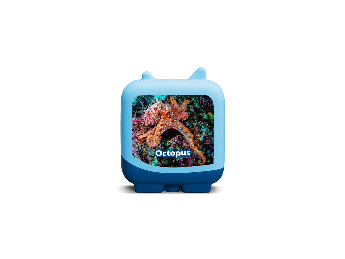 Octopus Marine Life Clever Tonie