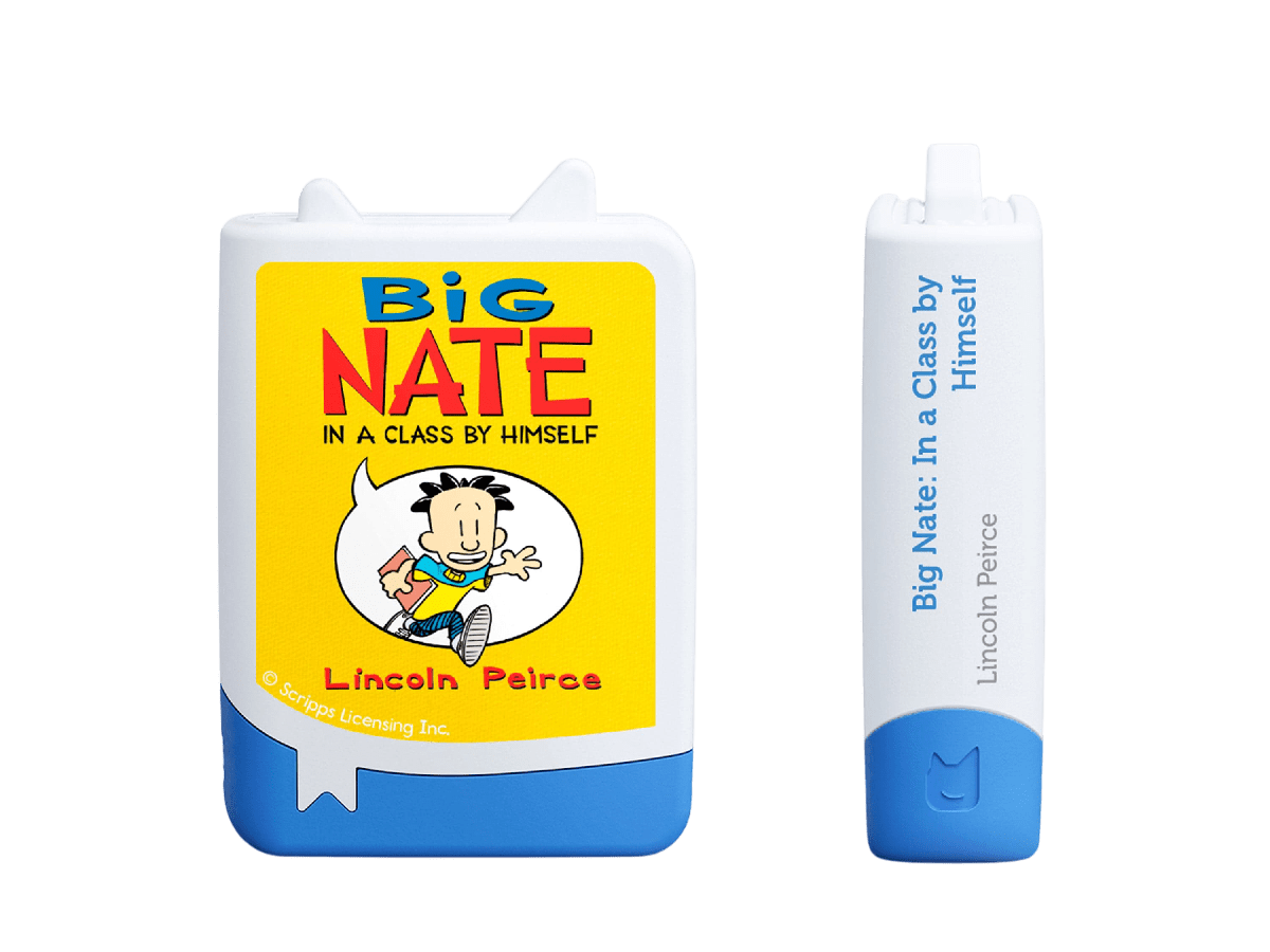 Big Nate in a Class by Himself Audiobook